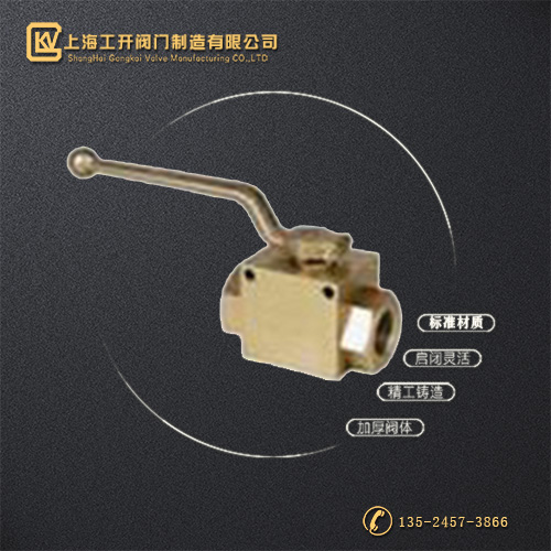 VH2V高压小型球阀