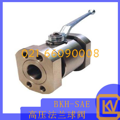 BKH-SAE高压法兰球阀