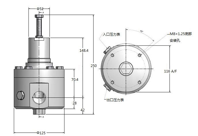 L45大流量背压阀