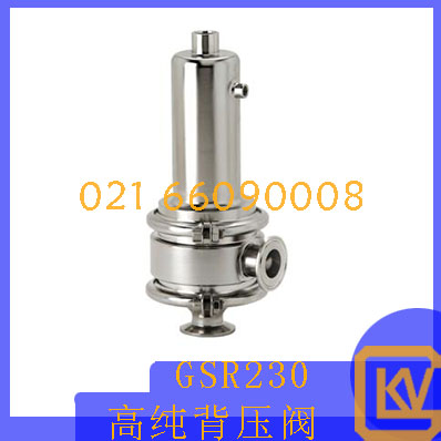 GSR230高纯背压阀