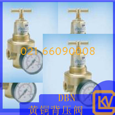 DBN黄铜背压阀