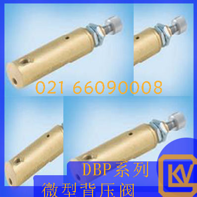 DBP系列微型背压阀