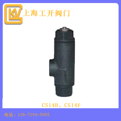 CS14H、CS14F液体膨胀式蒸汽疏水阀