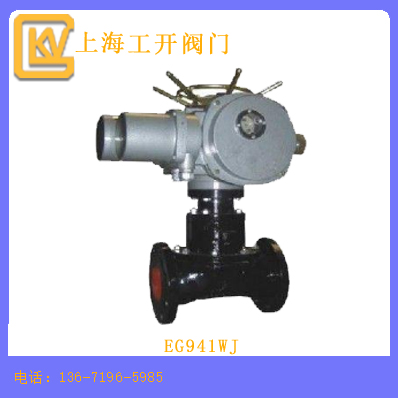 EG941WJ英标电动衬胶隔膜阀
