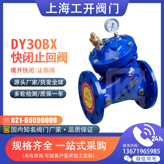 DY30BX- 10 16Q缓开快闭止回阀